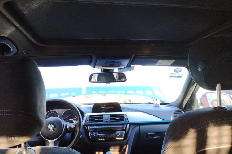 BMW 3 Series 2017 car image #20