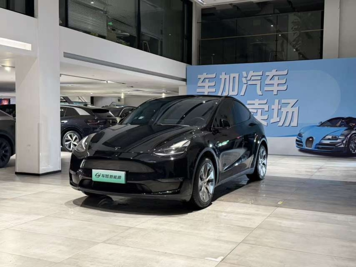 Tesla Model Y 2021 car image 