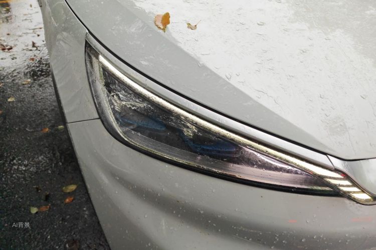 BYD Yuan Plus 2022 car image #8