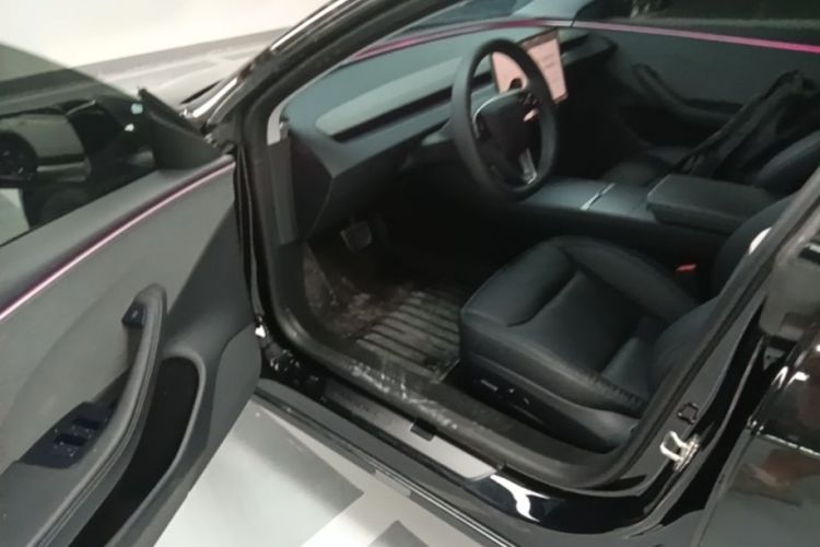 Tesla Model 3 2024 immagine di auto #16