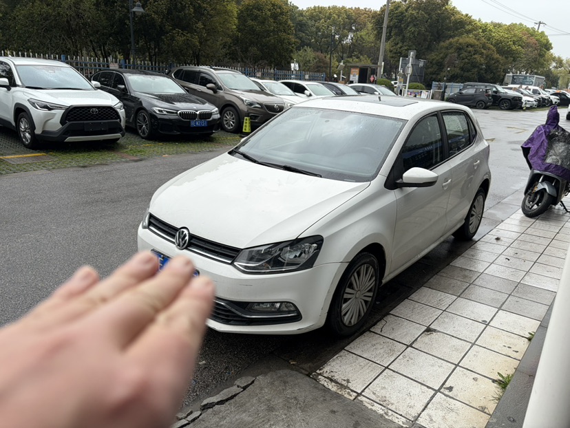 Volkswagen Polo 2019 car image 