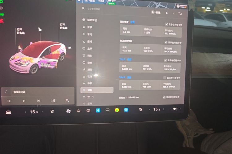 Tesla Model 3 2021 car image #12