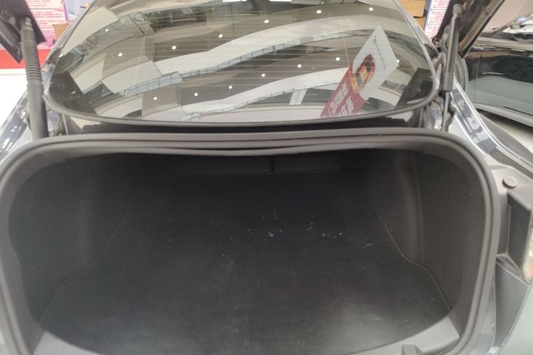 Tesla Model 3 2021 car image #19