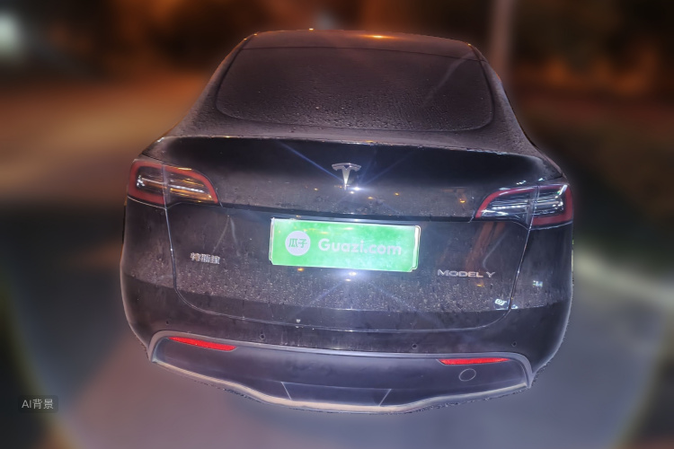 Tesla Model Y 2023 car image #6
