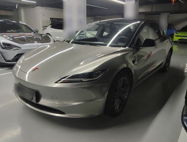Tesla Model 3 2024 Tesla Model 3 2024 car image