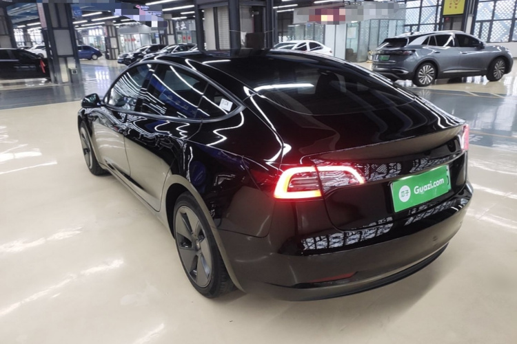 Tesla Model 3 2021 #5 Tesla Model 3 2021 car image #5