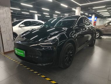 Tesla Model Y 2023 car image 