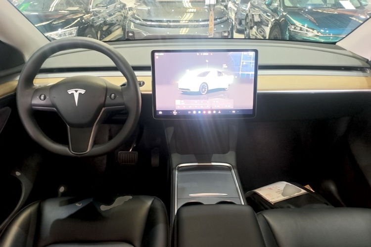 Tesla Model Y 2023 immagine di auto #10
