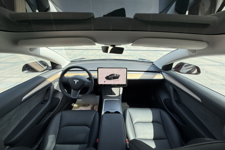 Tesla Model 3 2022 #15 Tesla Model 3 2022 immagine di auto #15