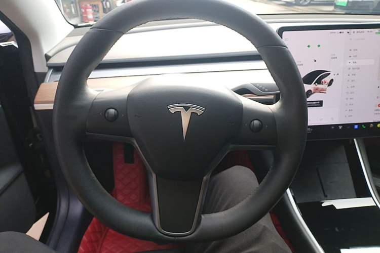 Tesla Model 3 2020 #11 Tesla Model 3 2020 car image #11