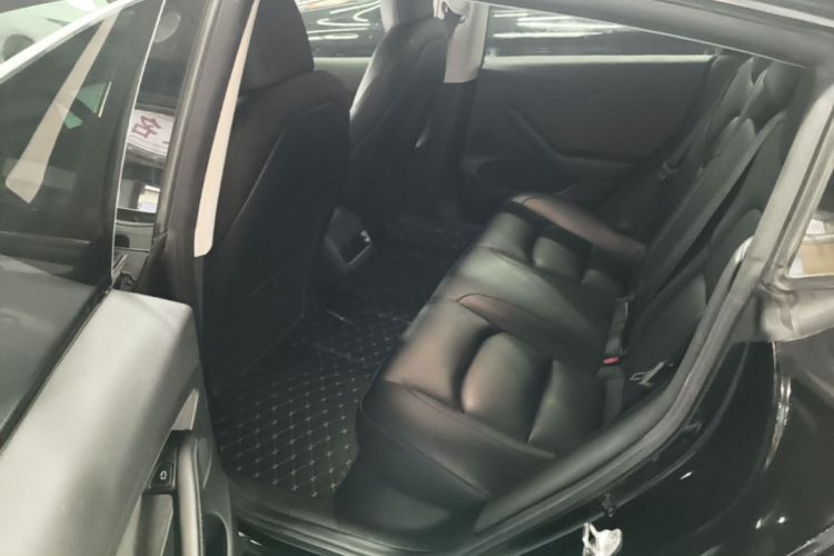 Tesla Model 3 2021 car image #17