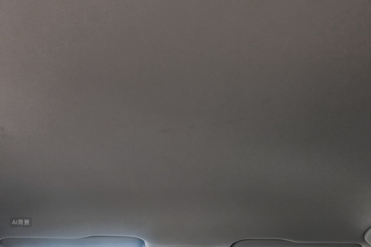 Volkswagen Bora 2020 #20 Volkswagen Bora 2020 car image #20