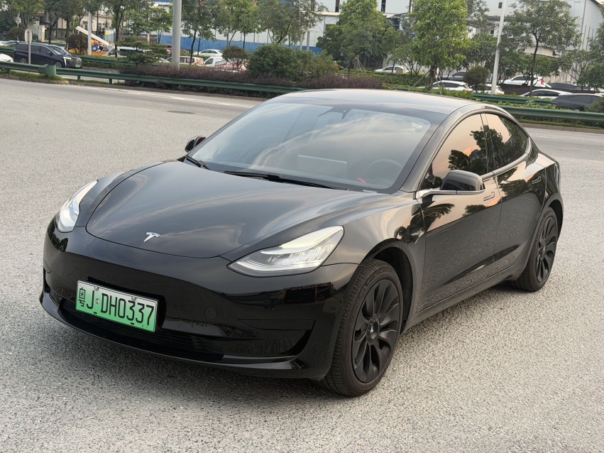 Tesla Model 3 2020 Tesla Model 3 2020 car image