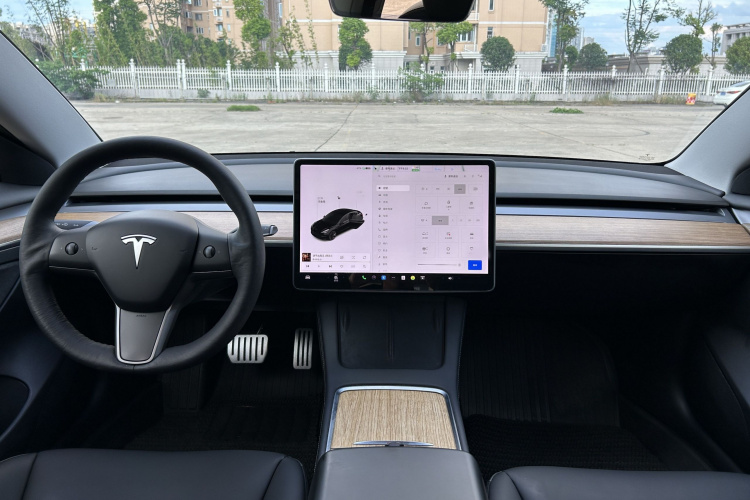 Tesla Model 3 2021 #10 Tesla Model 3 2021 car image #10