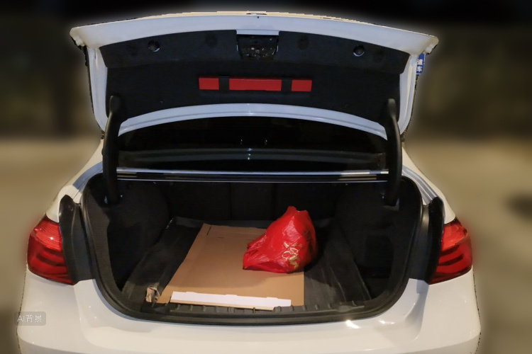 BMW 3 Series 2019 car image #21
