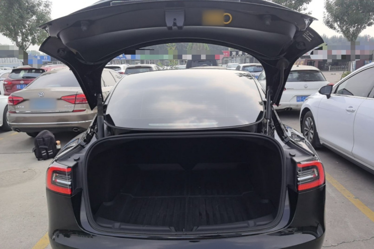 Tesla Model 3 2021 #19 Tesla Model 3 2021 car image #19