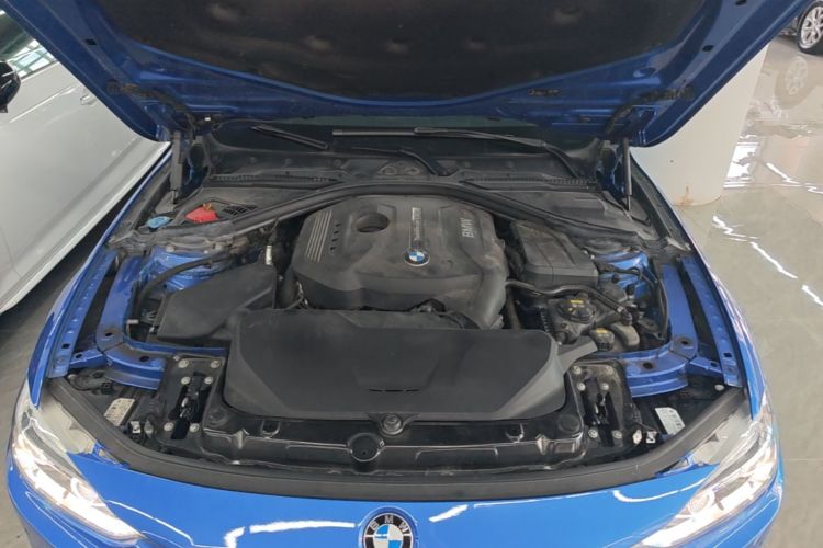 BMW 3 Series 2017 car image #20