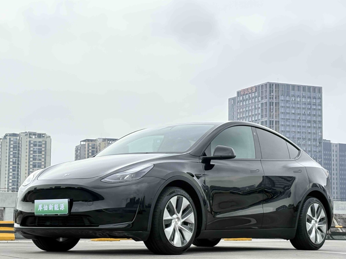Tesla Model Y 2022 Tesla Model Y 2022 car image