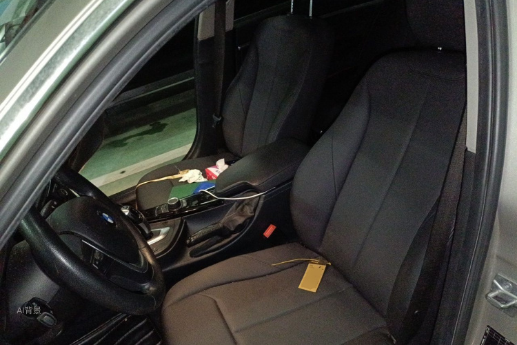 BMW 3 Series 2016 car image #17