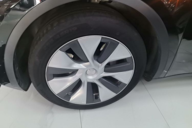 Tesla Model Y 2023 #9 Tesla Model Y 2023 car image #9