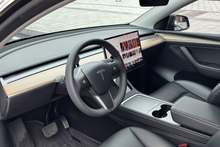 Tesla Model Y 2021 car image #15