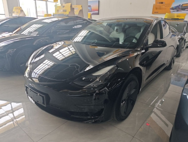 Tesla Model 3 2023 Tesla Model 3 2023 car image