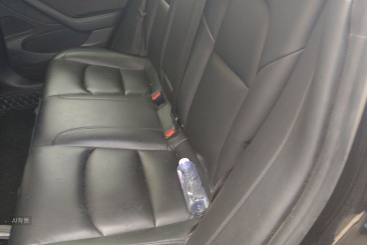Tesla Model 3 2020 #19 Tesla Model 3 2020 car image #19