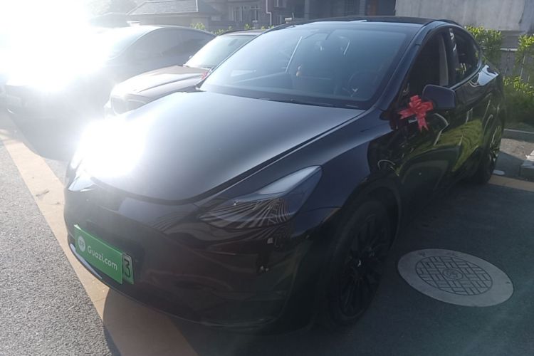 Tesla Model Y 2021 #2 Tesla Model Y 2021 car image #2