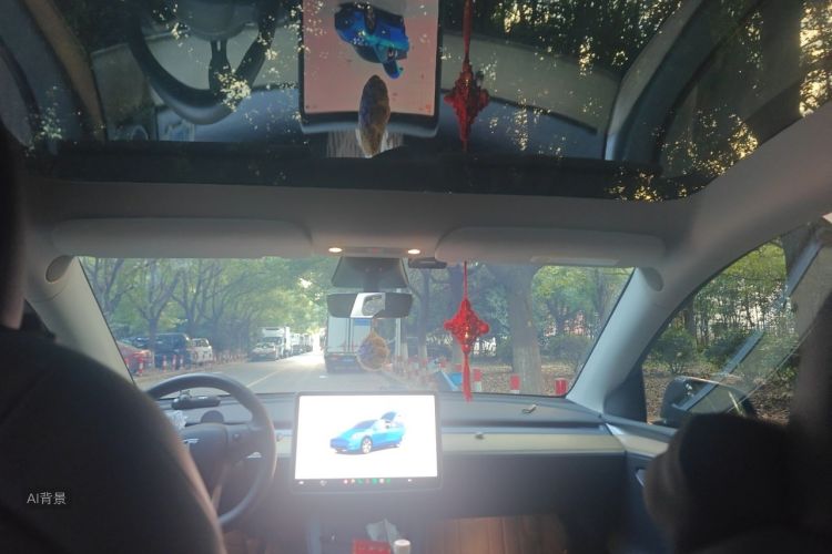 Tesla Model Y 2022 #20 Tesla Model Y 2022 car image #20