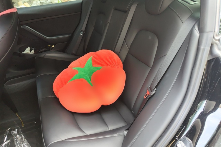 Tesla Model 3 2021 car image #19