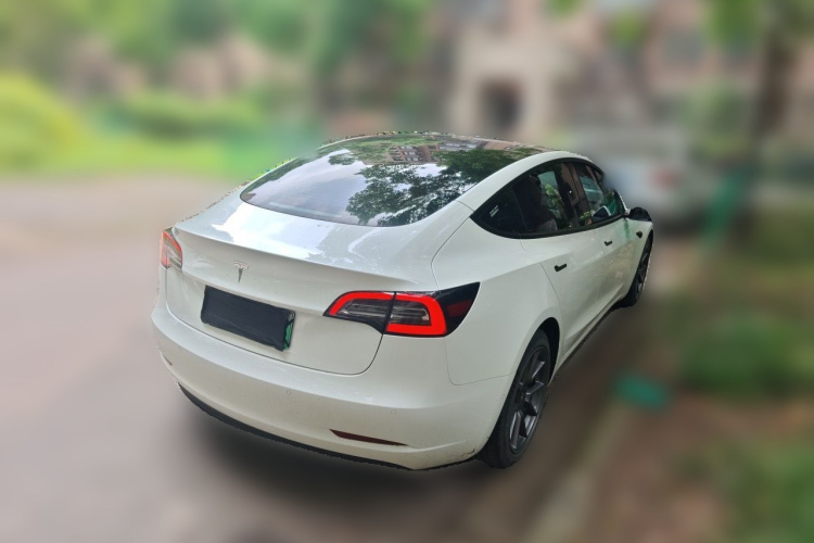 Tesla Model 3 2022 #5 Tesla Model 3 2022 car image #5