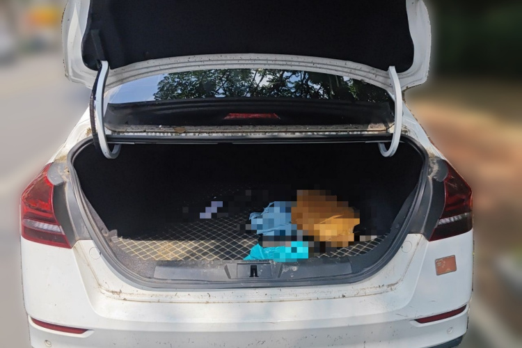 GEELY Emgrand 2022 car image #17