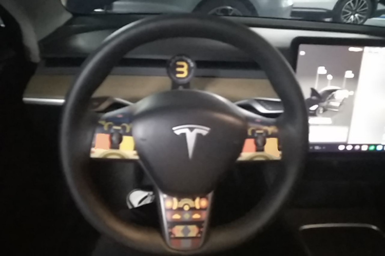Tesla Model 3 2023 #15 Tesla Model 3 2023 car image #15