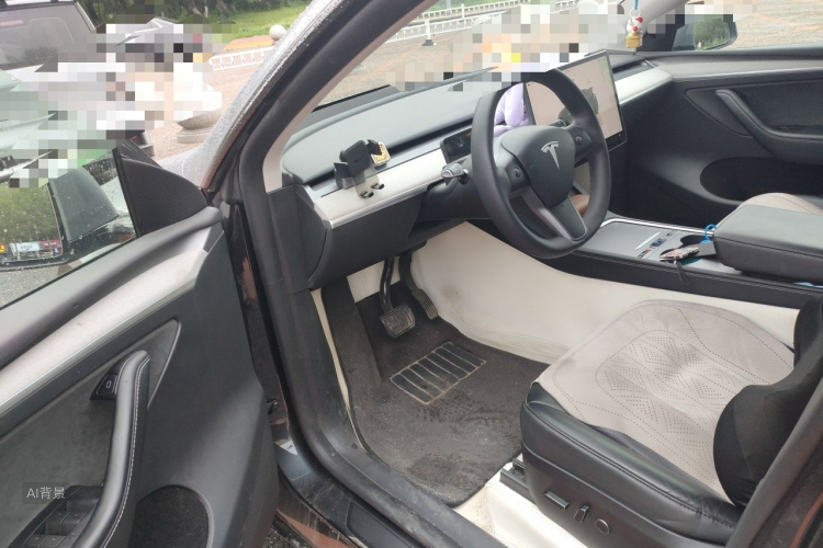 Tesla Model Y 2024 car image #18
