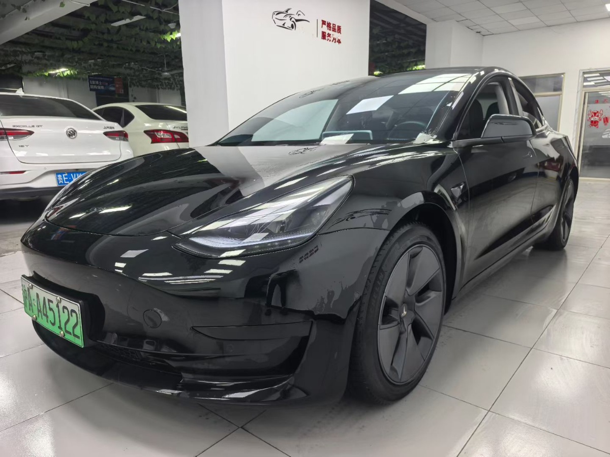 Tesla Model 3 2023 Tesla Model 3 2023 car image