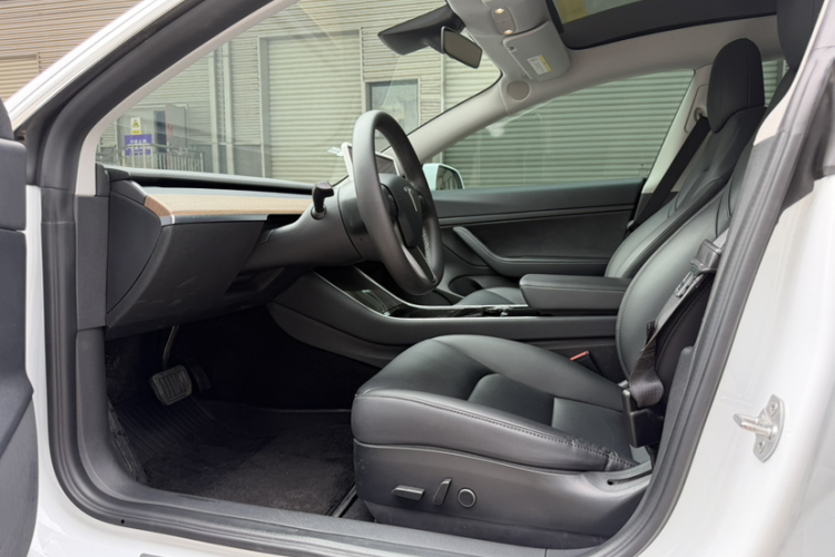 Tesla Model 3 2020 car image #26