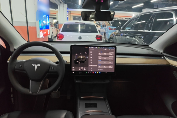 Tesla Model Y 2022 car image #10