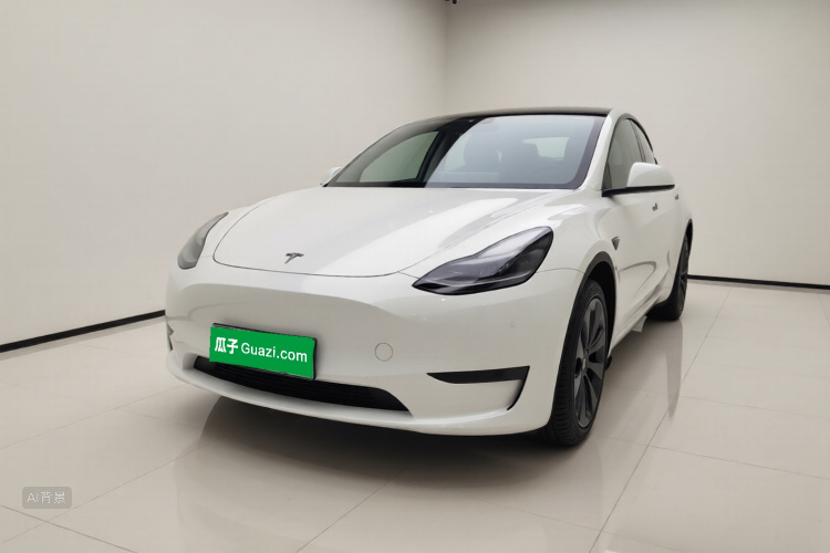 Tesla Model Y 2024 car image #2
