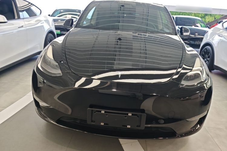 Tesla Model Y 2021 car image #3