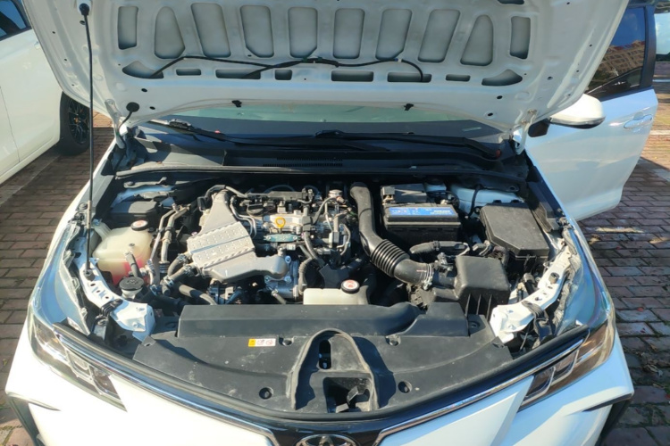 Toyota Corolla 2023 #23 Toyota Corolla 2023 car image #23
