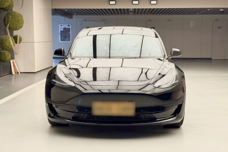 Tesla Model 3 2023 car image #4
