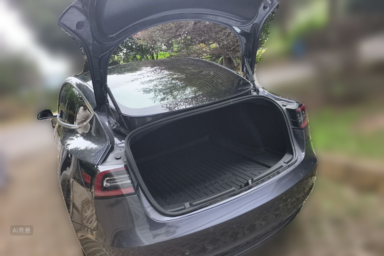 Tesla Model 3 2020 #21 Tesla Model 3 2020 car image #21