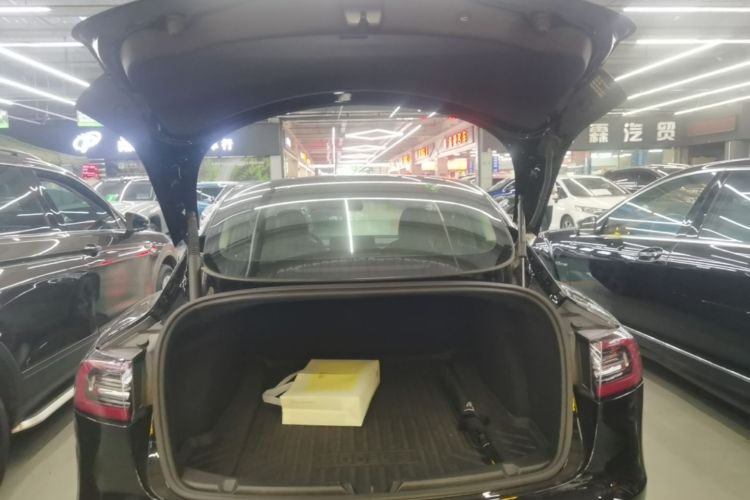 Tesla Model 3 2021 #21 Tesla Model 3 2021 car image #21