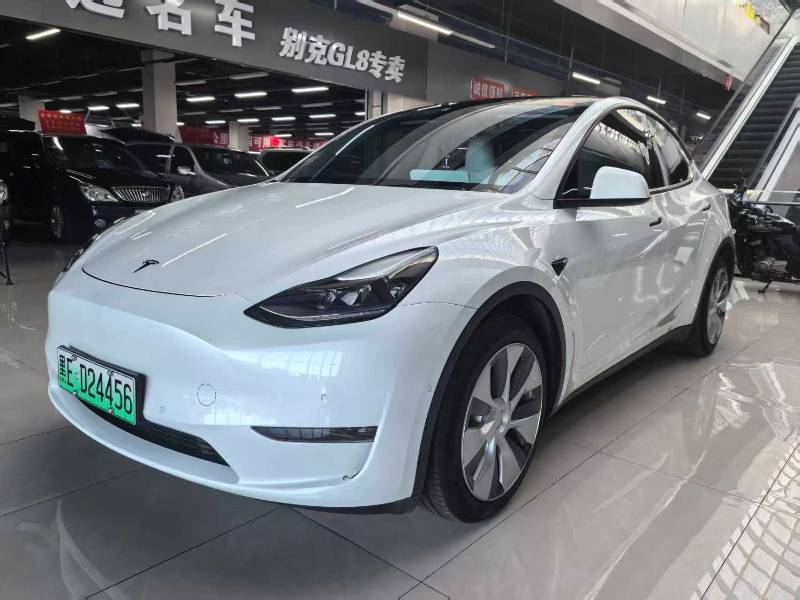 Tesla Model Y 2021 car image 