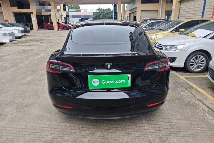 Tesla Model 3 2021 car image #6