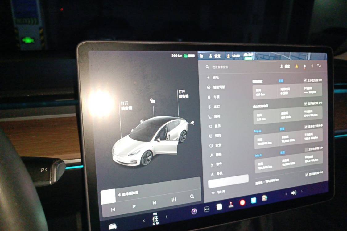 Tesla Model 3 2021 #26 Tesla Model 3 2021 car image #26