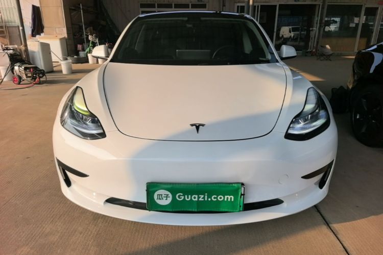 Tesla Model 3 2021 #3 Tesla Model 3 2021 car image #3