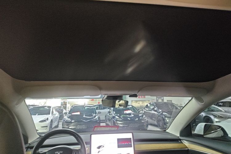 Tesla Model 3 2021 #18 Tesla Model 3 2021 immagine di auto #18