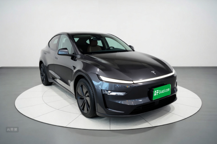 Tesla Model Y 2025 car image #4