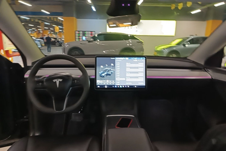 Tesla Model Y 2024 car image #10